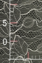ML504772