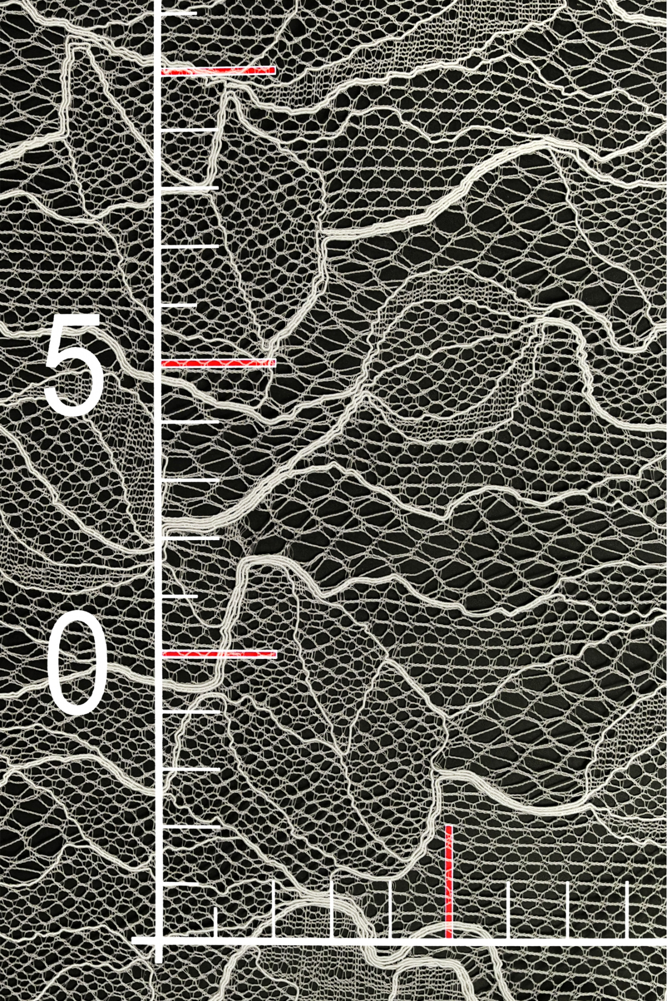 ML504772