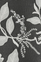 ML504556