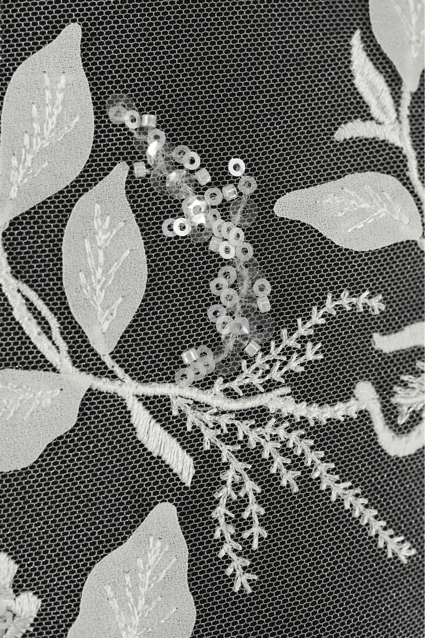 ML504556
