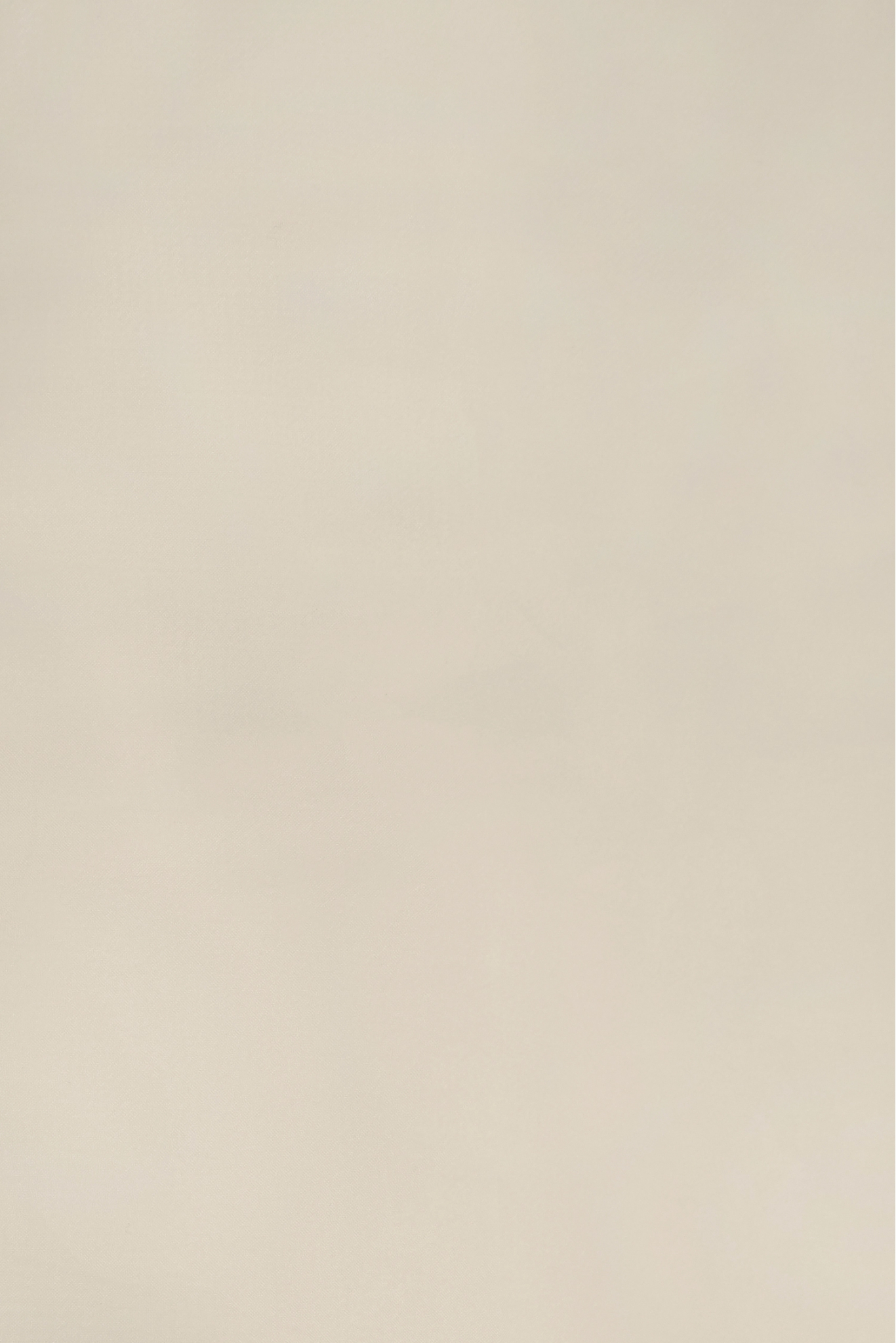 SEIDENORGANZA SILK10151