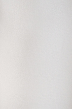 SEIDENMUSSELIN SILKGGT10106