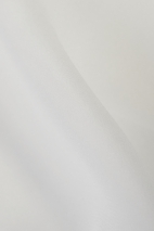 SEIDENMUSSELIN SILKGGT10168