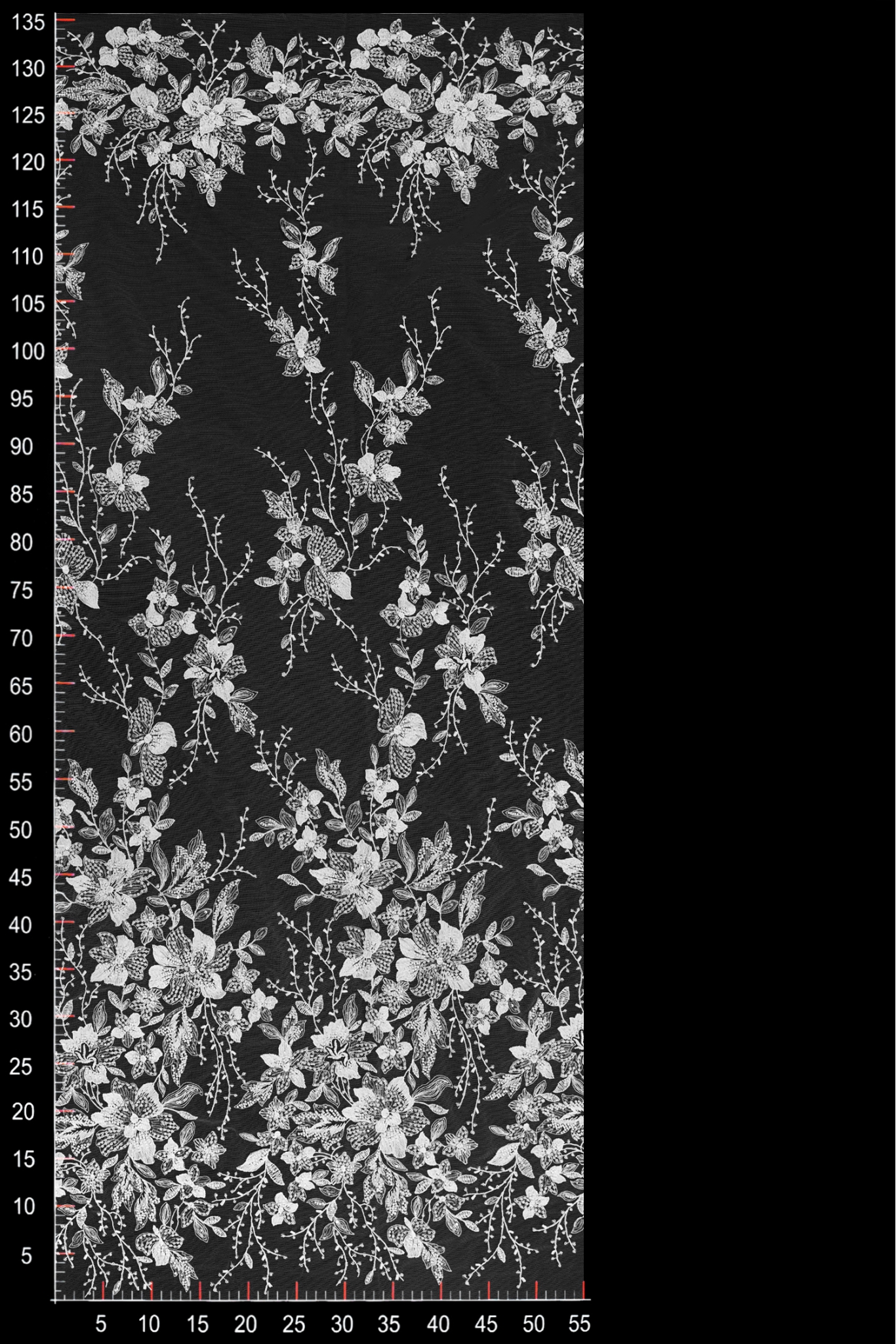W54636