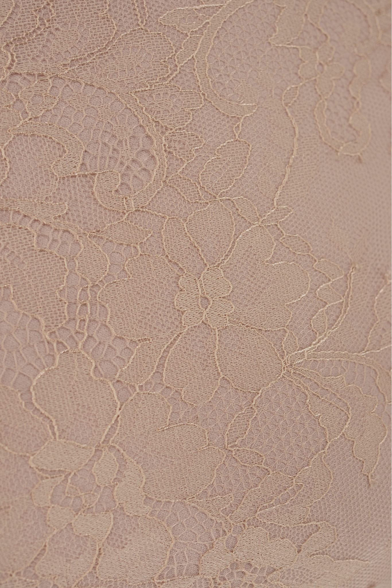 WH024 DUSTY ROSE