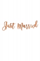 Banner Just Married, roségold, 20x77cm