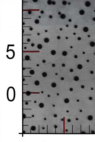  DRESS TULLE WITH DOTS VOLGM 3227