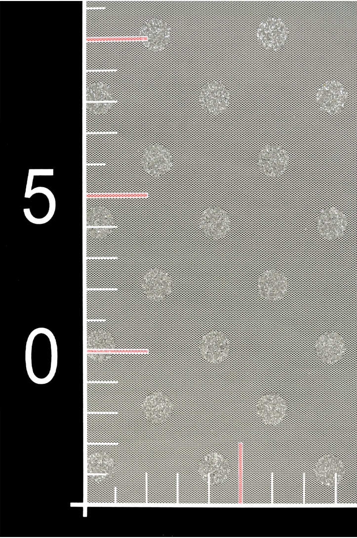 DRESS TULLE WITH DOTS VOLGM 6257