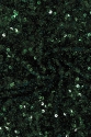 X1870 PAILLETTEN