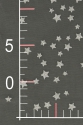 TULLE WITH STARS T2943
