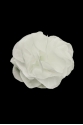 BLUME 0217