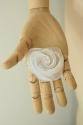 FLOWER 0283