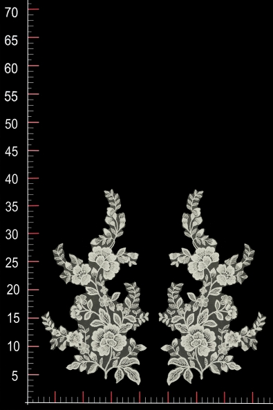 MOTIF ML709724