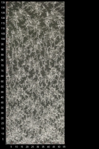 VL1278