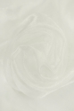 VOTIUL ORGANZA