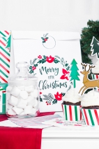 GIFT BAGS MERRY LITTLE CHRISTMAS 25x11x27cm
