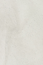 LER FLEXY METALLIC