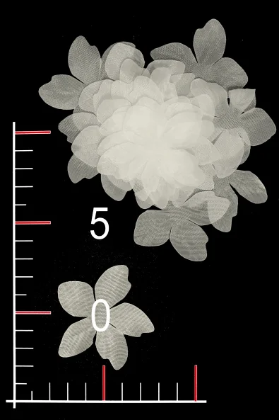 BLUMEN 035