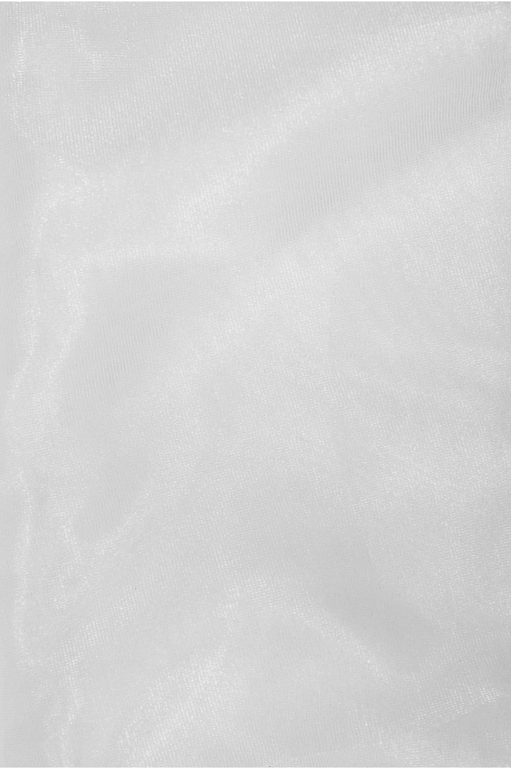 VOTIUL ORGANZA