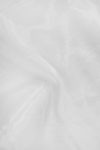 VOTIUL ORGANZA