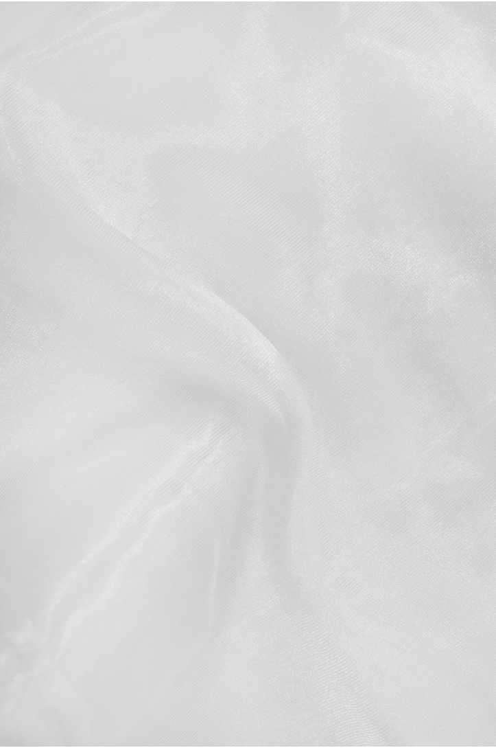 VOTIUL ORGANZA
