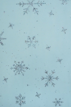 Glitzer-Schneeflocken-Tüll SKYRT0020