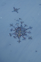 Glitzer-Schneeflocken-Tüll SKYRT0020