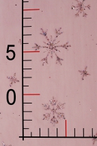 Glitzer-Schneeflocken-Tüll SKYRT0020