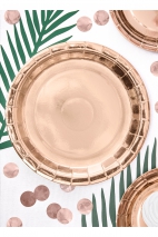Round paper plates