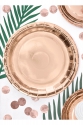 Round paper plates