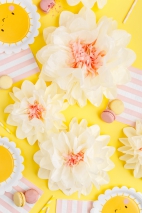 Paper decoration Flowers