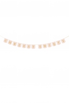 "Heilige Taufe" Banner