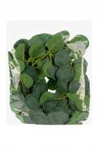Girlanda Eukaliptus