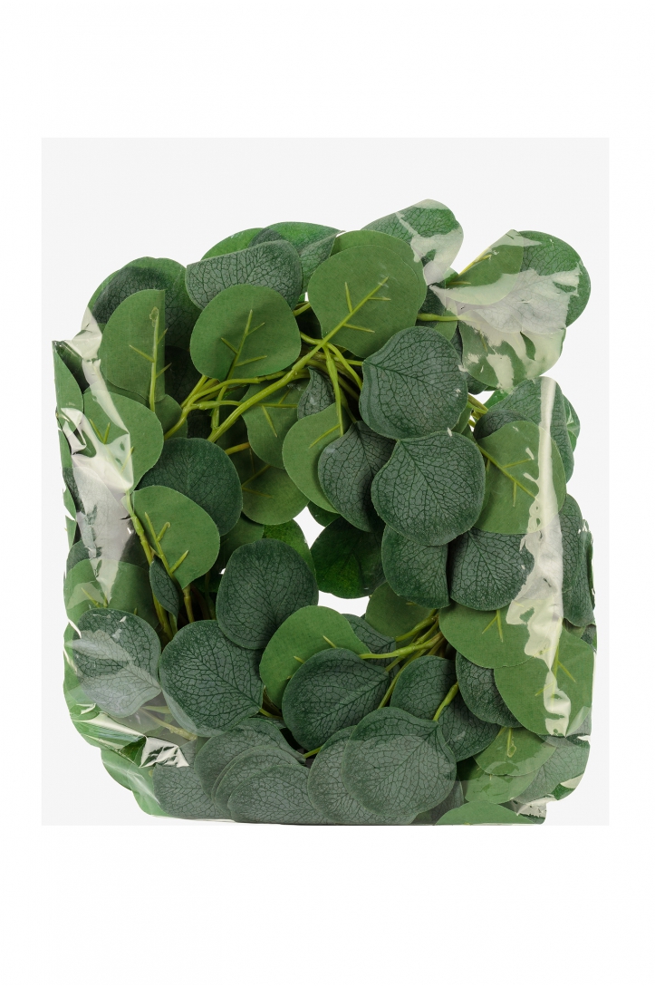 Girlanda Eukaliptus