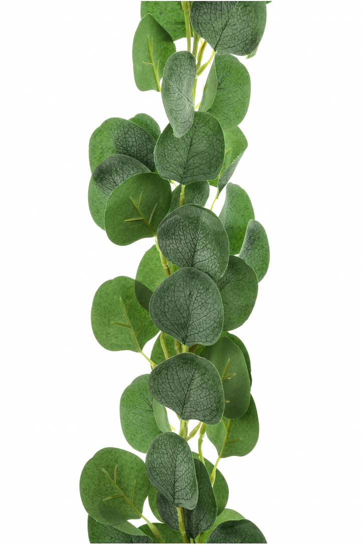 Girlanda Eukaliptus