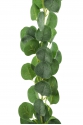 Eucalyptus Garland