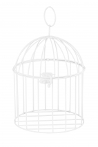 Decorative Metal Cage