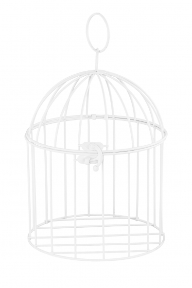  Decorative Metal Cage