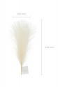 Artificial Pampas Grass 10 x 45 cm