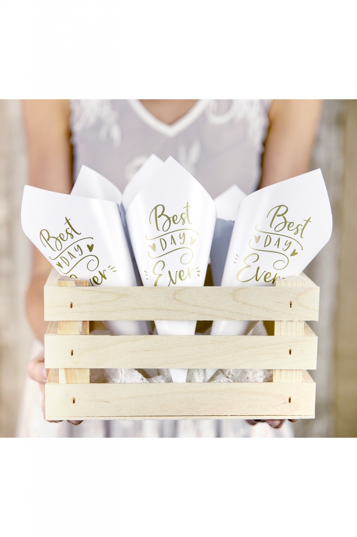 Paper cones