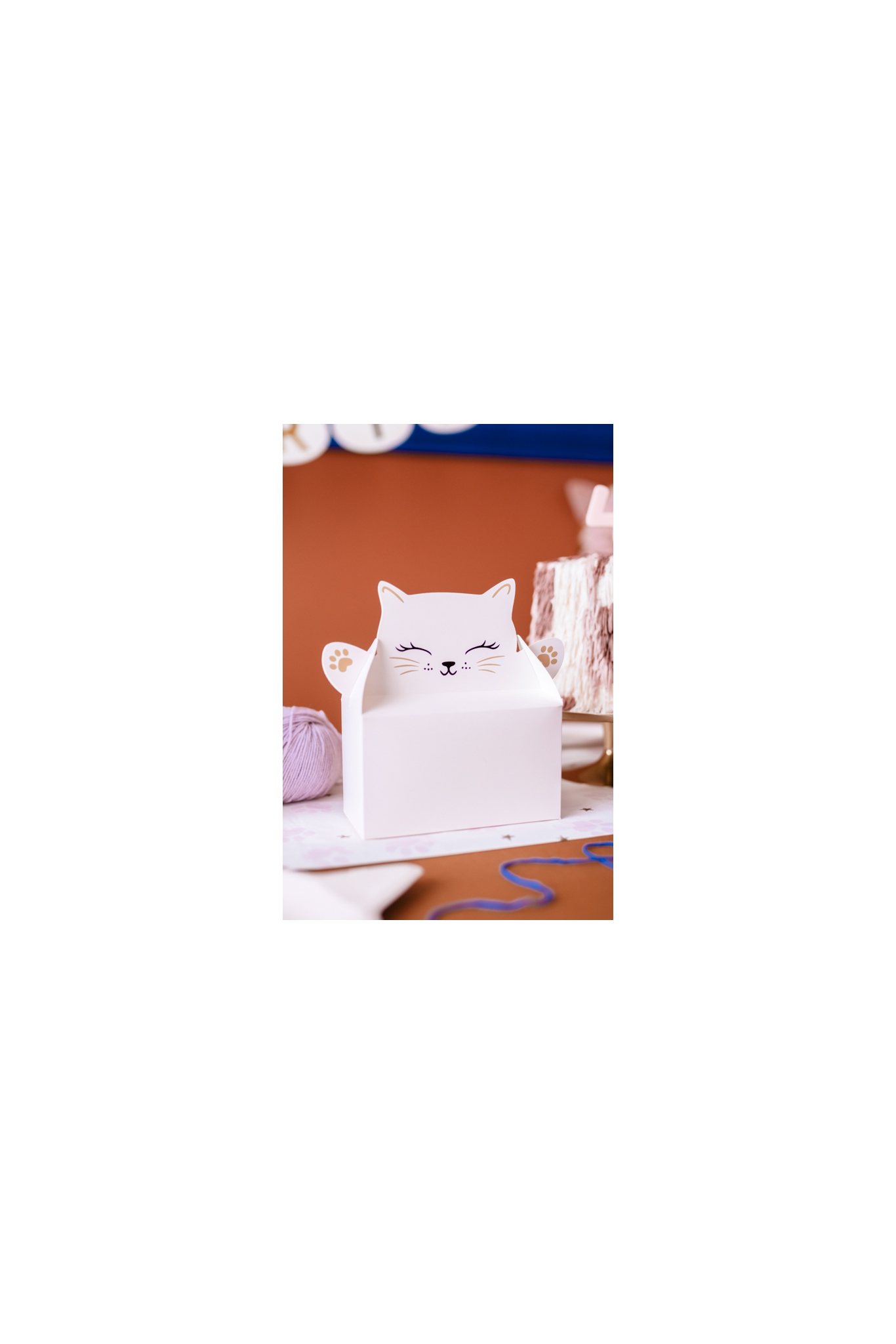 Cake boxes kitten