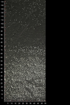 ML12686