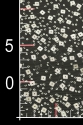 ML12686