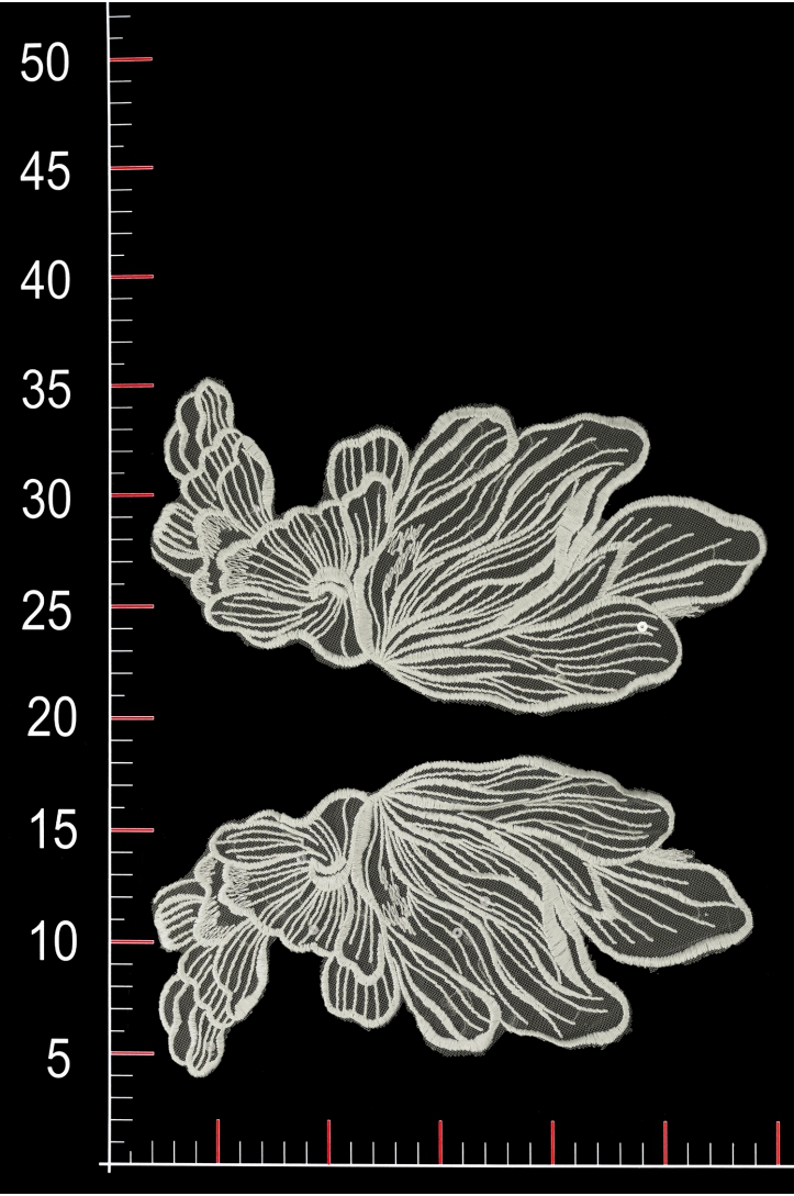 ML91817