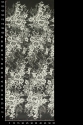 ML501653