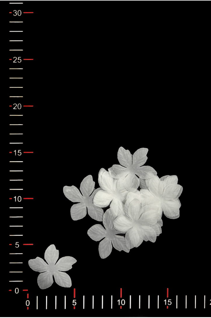 KWIAT 035 ORGANZA