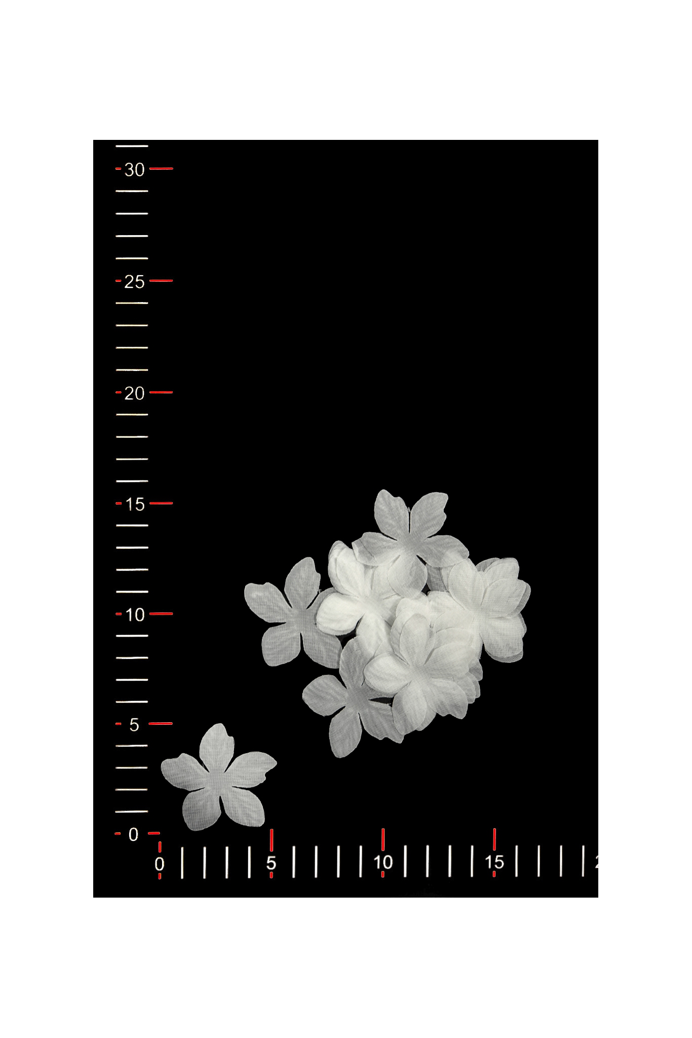 KWIAT 035 ORGANZA