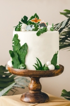 Birthday candles Dinosaurs
