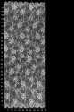 VL405