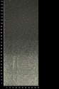 W52961